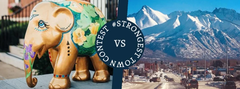 Erwin, TN vs. Palmer, AK