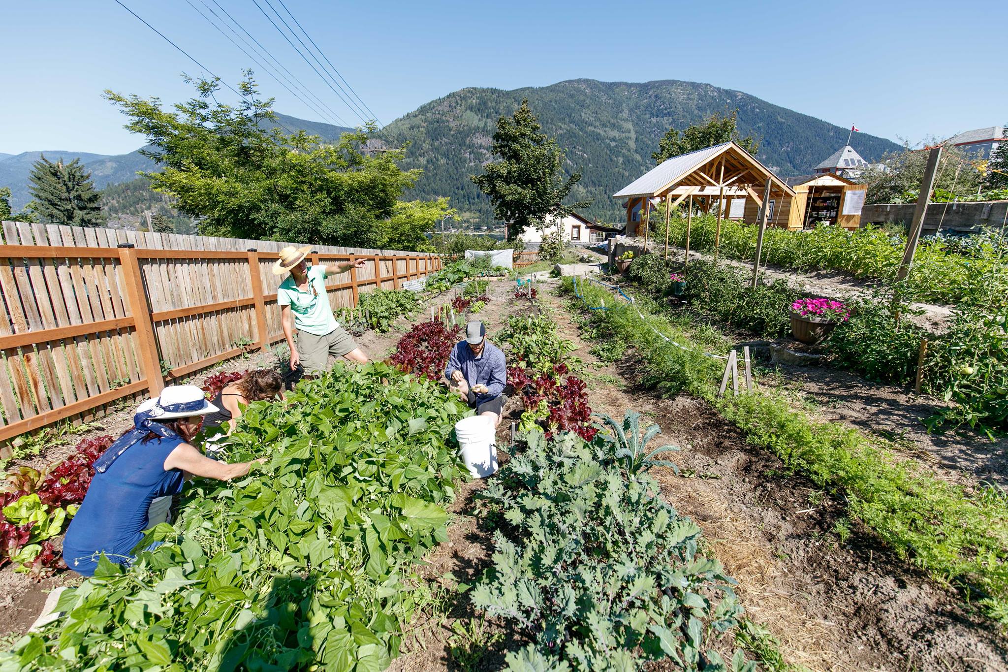 Photo: Nelson Community Food Centre