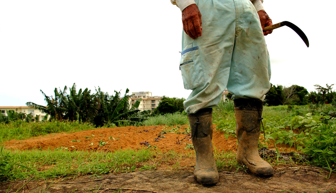 No, Revitalizing Rural America Isn't A Lost Cause. But the Way You're Thinking About it Might Be. 