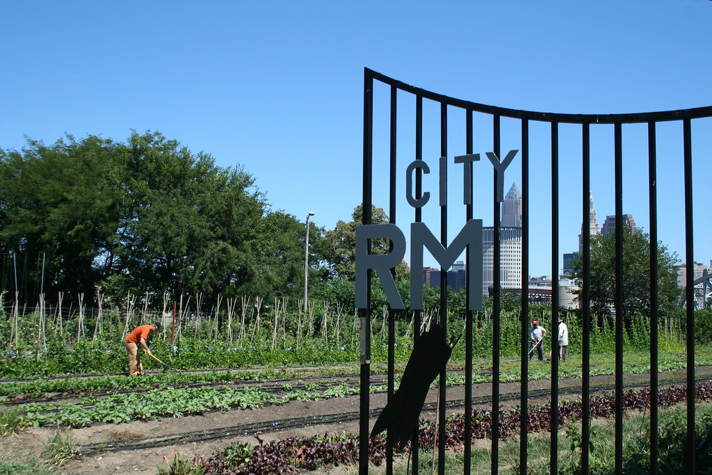 Top 5 Stories from the Week (April 22–April 26, 2019)