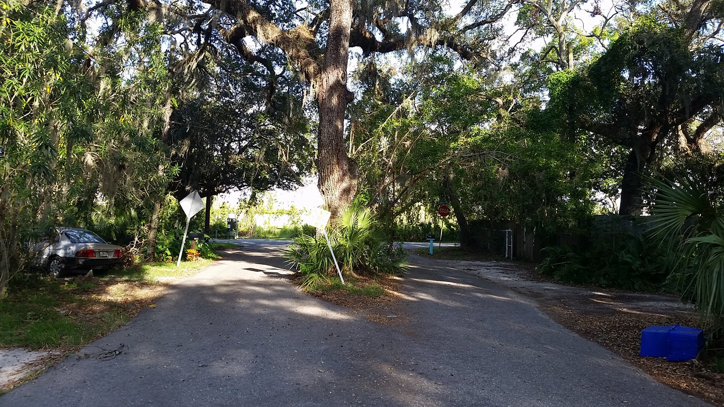 Favorite street. What’s yours like?