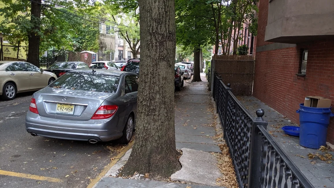 Sidewalk with a tree trunk in Hoboken, New Jersey.