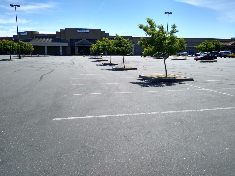Parking lot and storm water designs persist long after big box stores close. Source: Doug Bojack