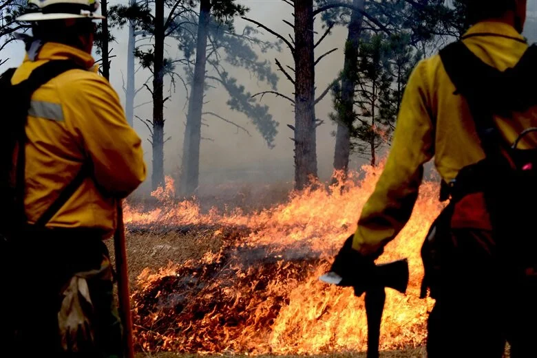 Can we make California wildfires less destructive by changing the way we build?
