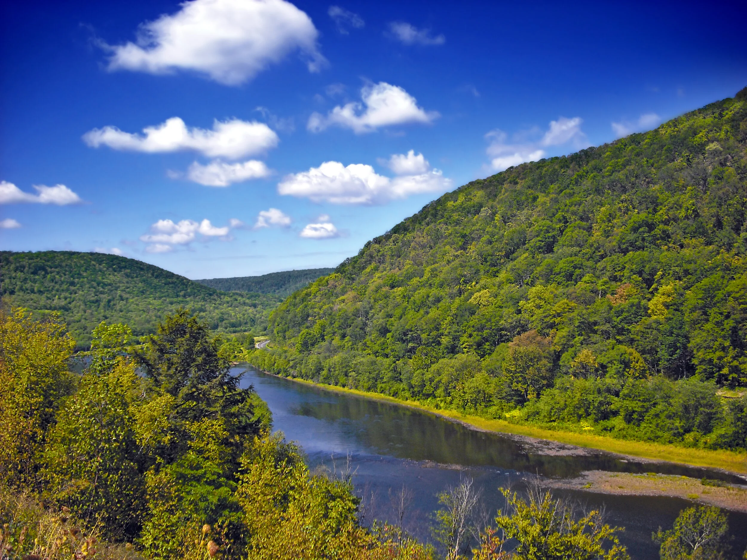The west branch of the Susquehanna River, in Clinton County, Pennsylvania. Beautiful countryside like this makes it tempting for biking. But half-alert drivers make it dangerous too.  Image credit.