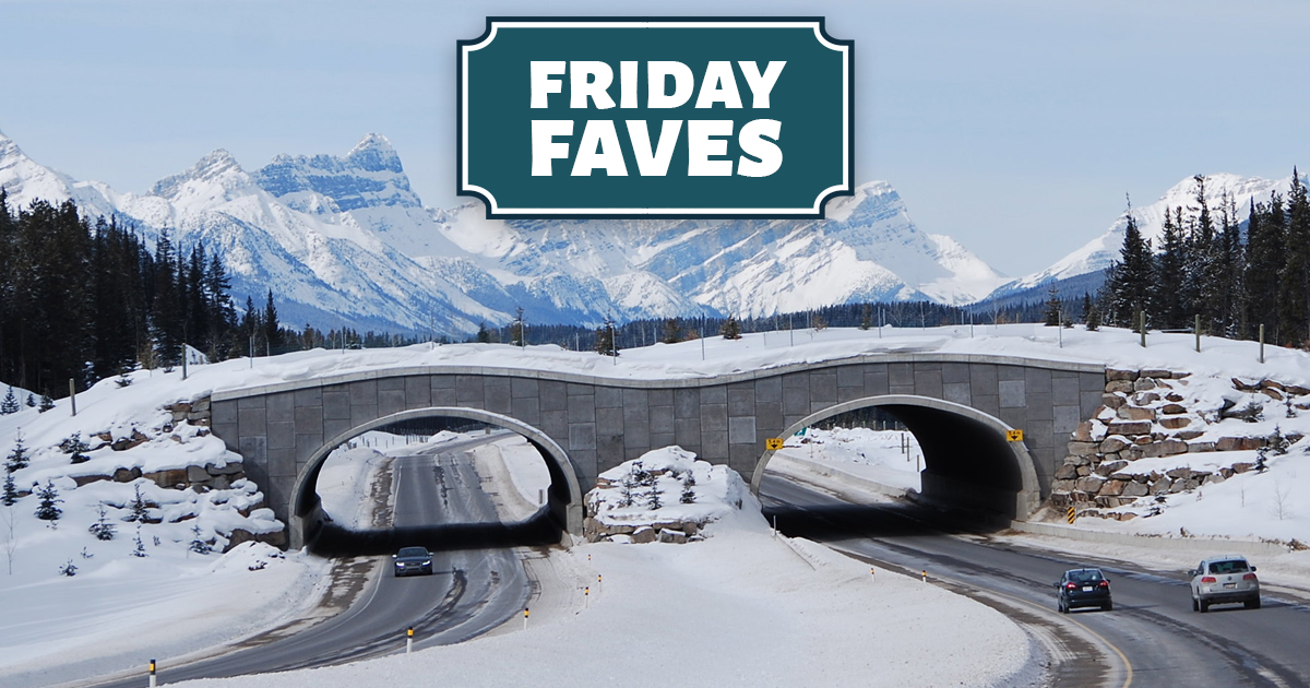 Friday Faves - Your Weekly Strong Towns Roundup