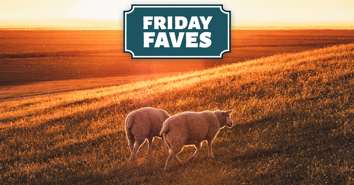 Friday Faves - Your Weekly Strong Towns Roundup
