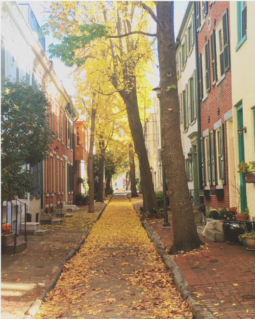 Panama Street; minor street of Philadelphia.