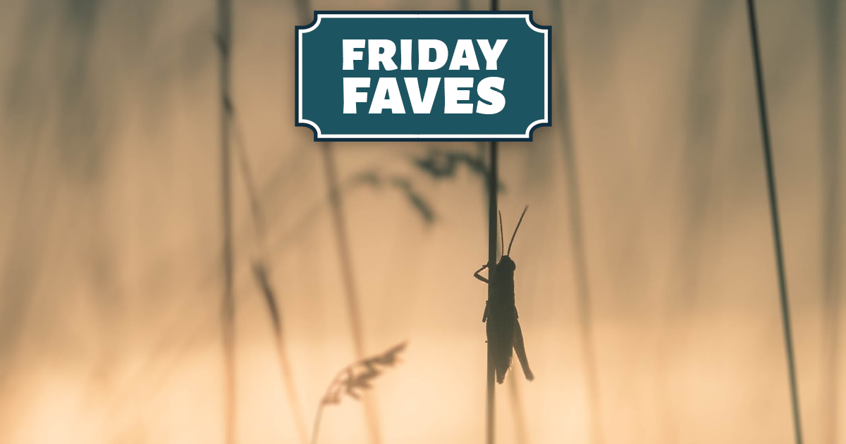 Friday Faves - Your Weekly Strong Towns Roundup