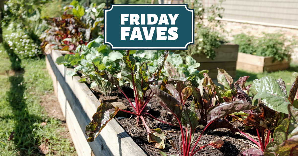 Friday Faves - Your Weekly Strong Towns Roundup