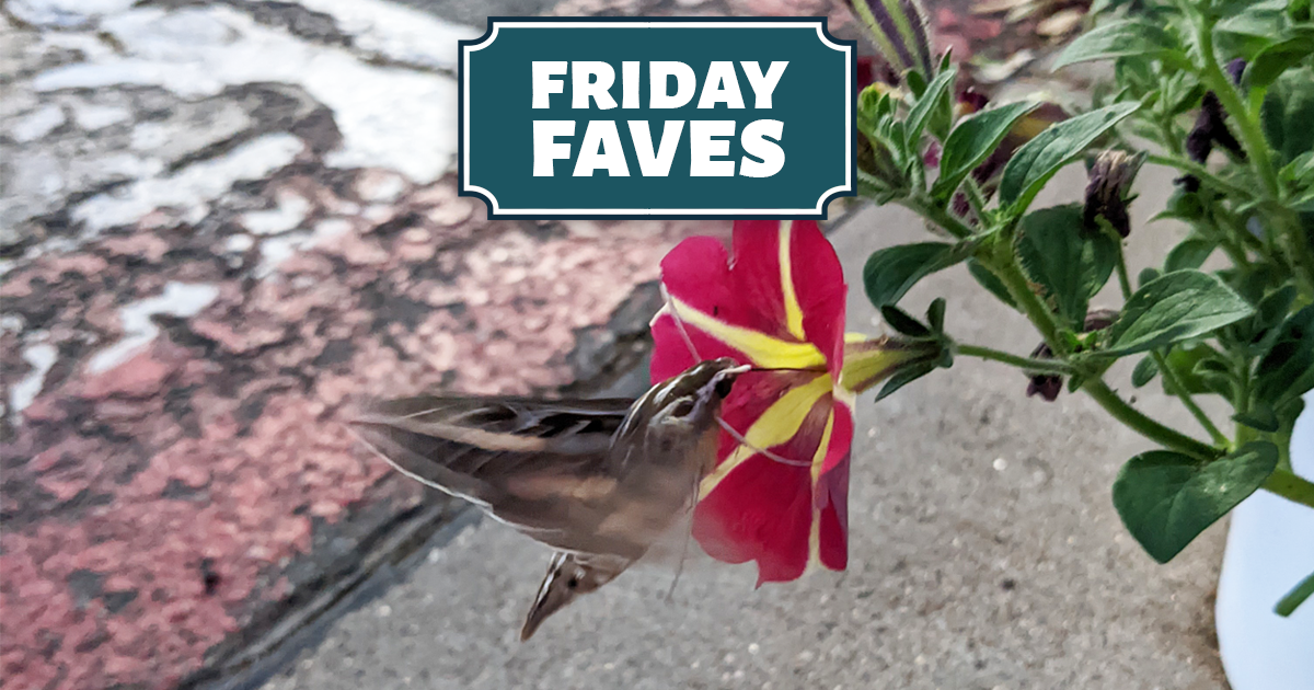 Friday Faves - Your Weekly Strong Towns Roundup
