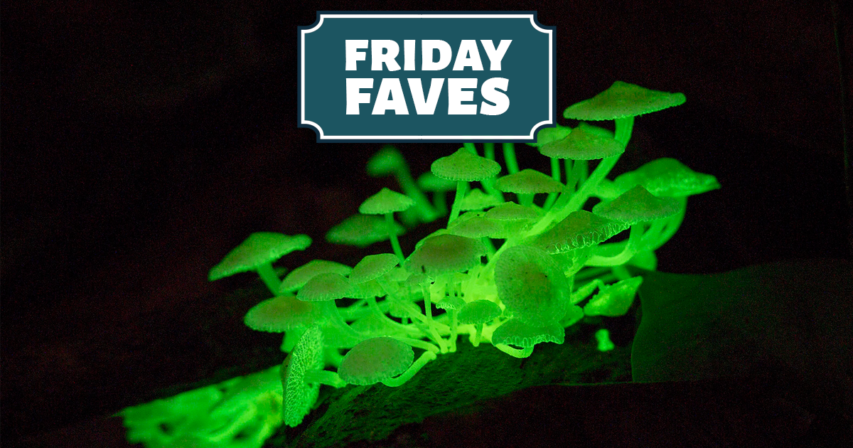 Friday Faves - Your Weekly Strong Towns Roundup