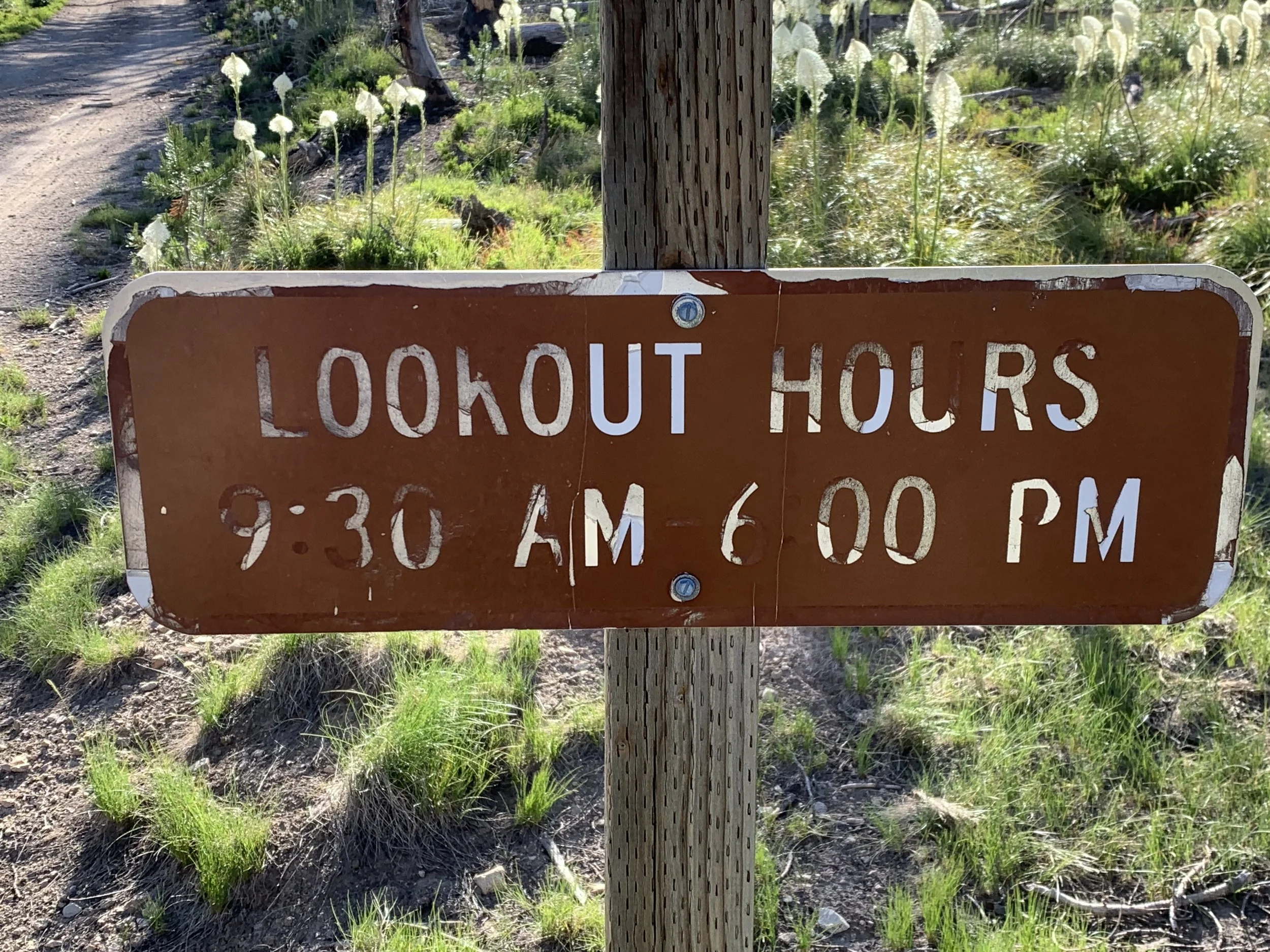 Burned Into Memory: Community Building in a Remote Fire Tower?