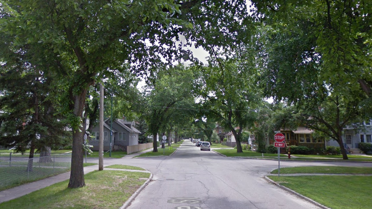 Suburban Street Lining Tree