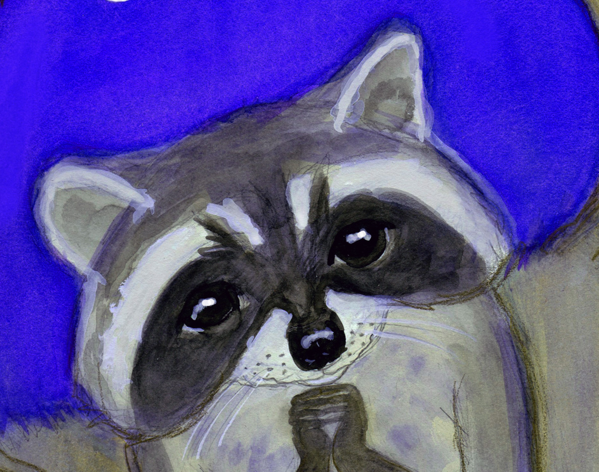 Reginald-Raccoon-and-the-Moon-CROPPED.jpg