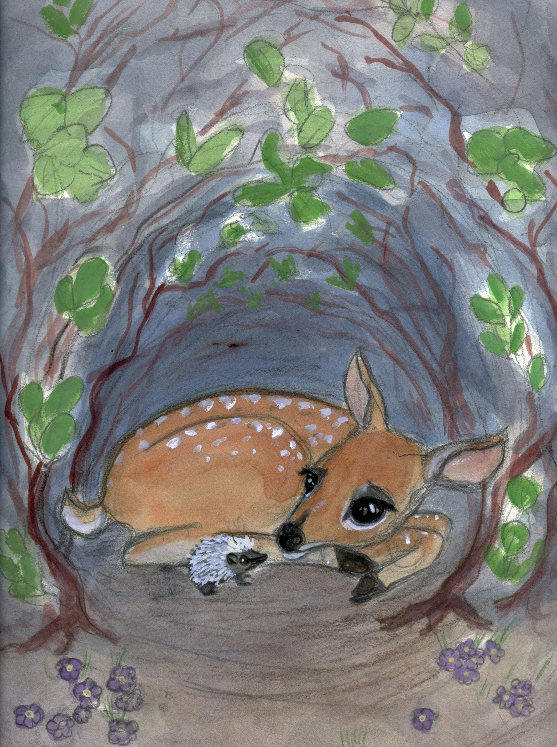 Deer in the Manzanita.jpg