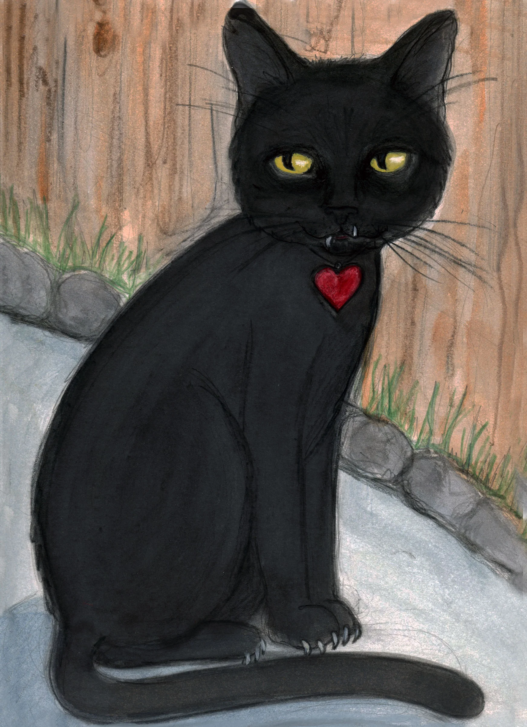 Pierre black cat portrait.jpg