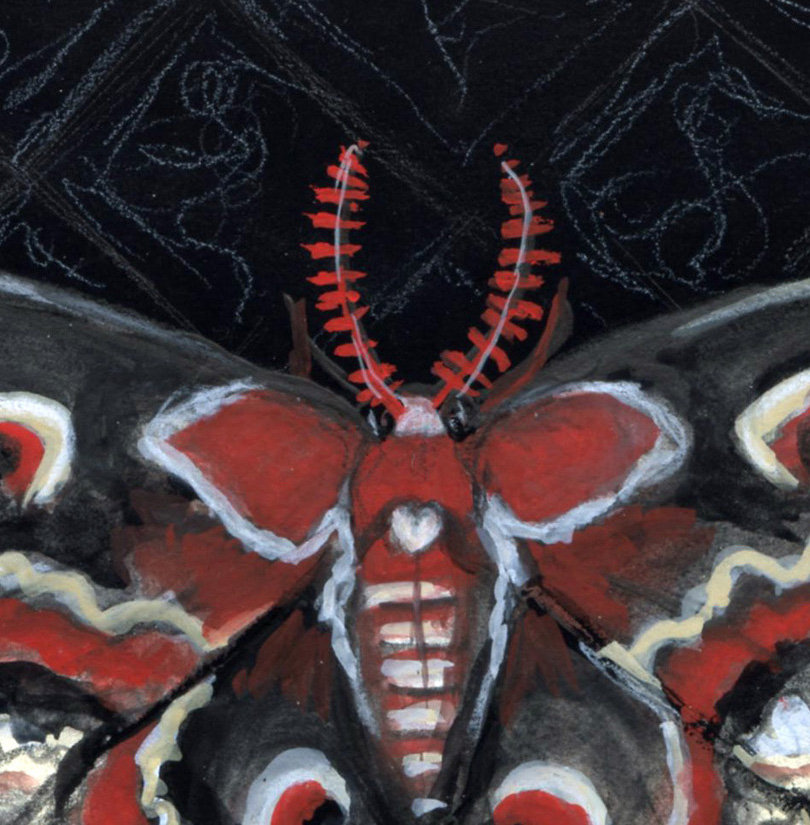 Cepropia Moth CROPPED.jpg
