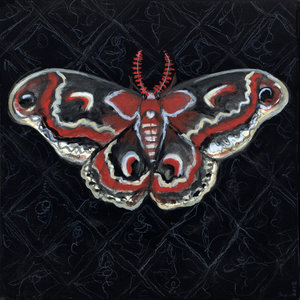Debra Styer Illustration Cecropia Noir 6x6 Goth Moth Art Print Debra Styer Illustration Cecropia Noir 6x6 Goth Moth Art Print