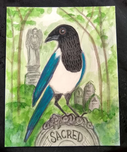 Sacred Magpie.jpg