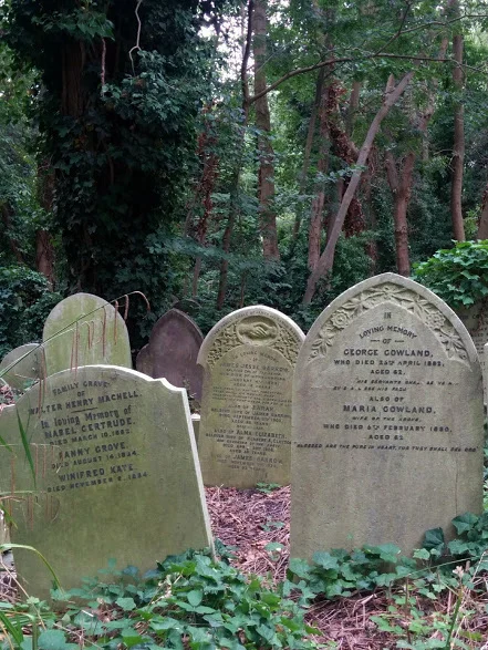 Graves rearranged by time at Highgate Cemetery.