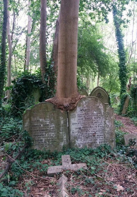 Two Graves Bound at Highgate Cemetery