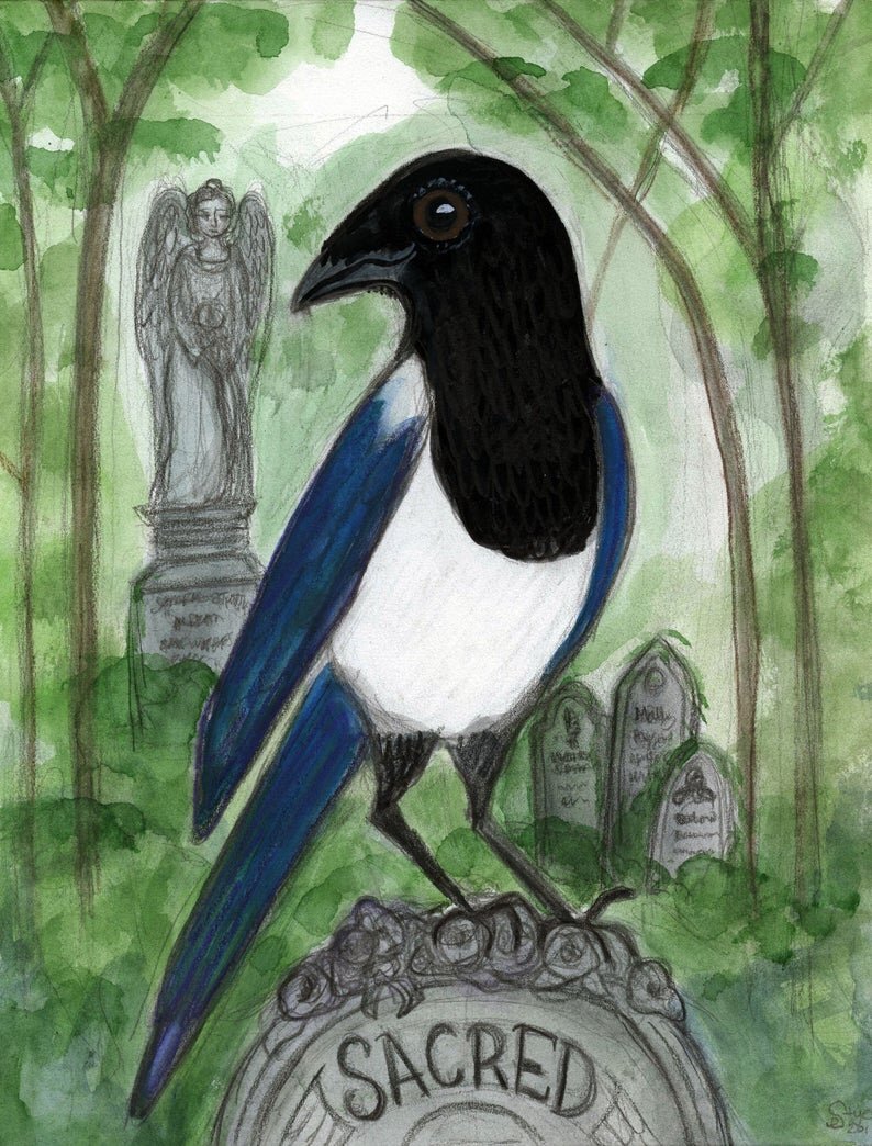 Sacred Magpie