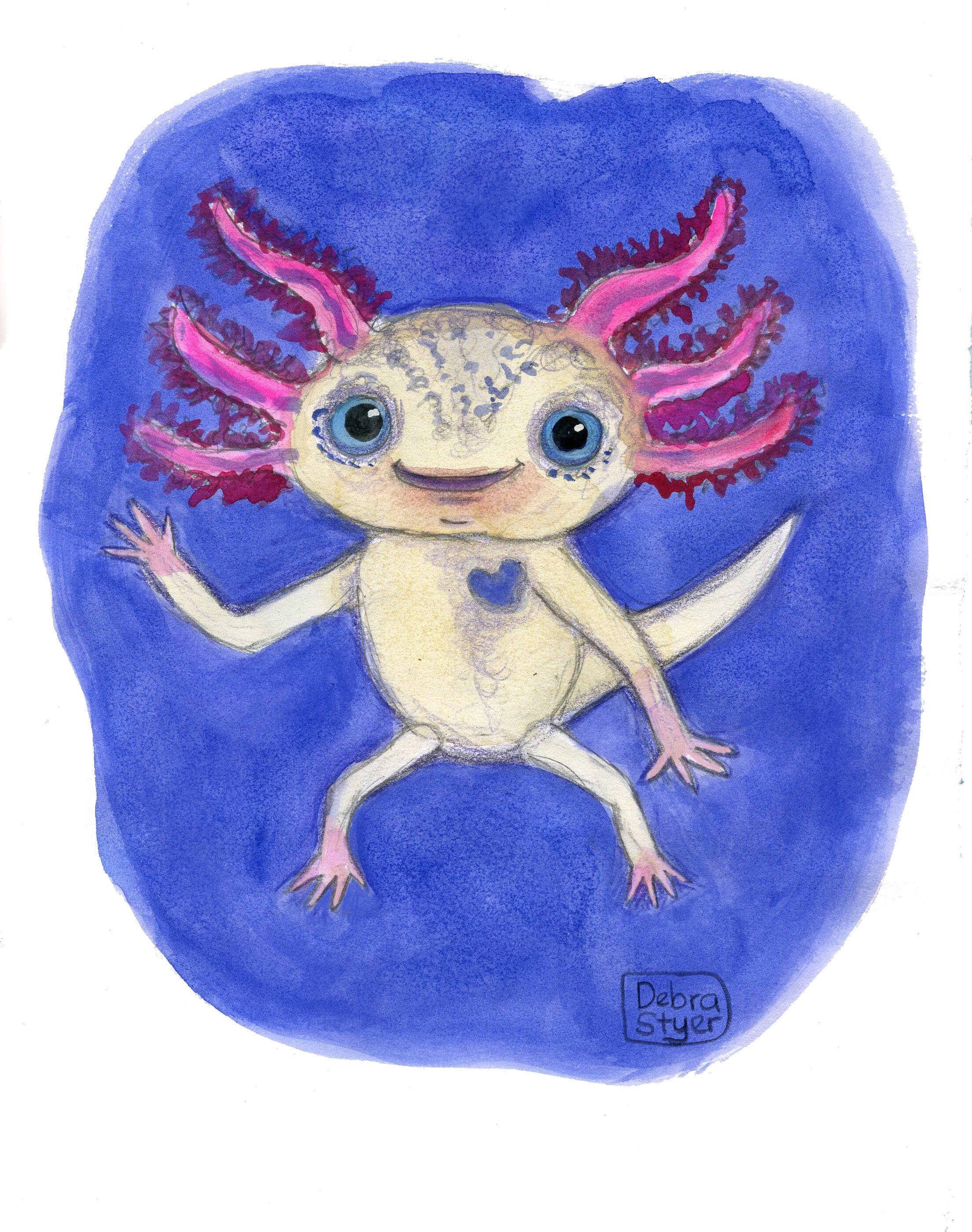 Baby Axolotl 