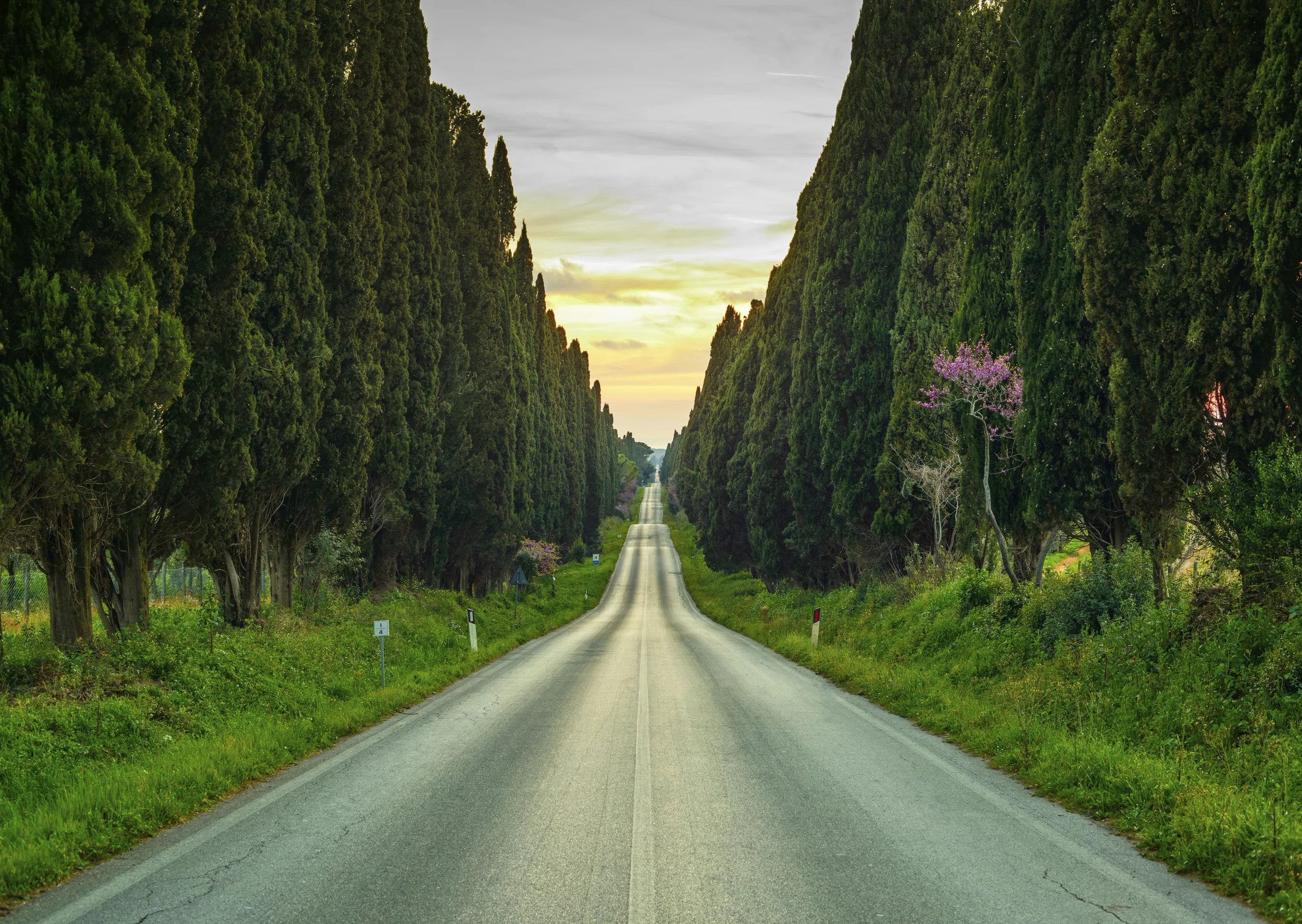 Photo by StevanZZ/iStock / Getty Images