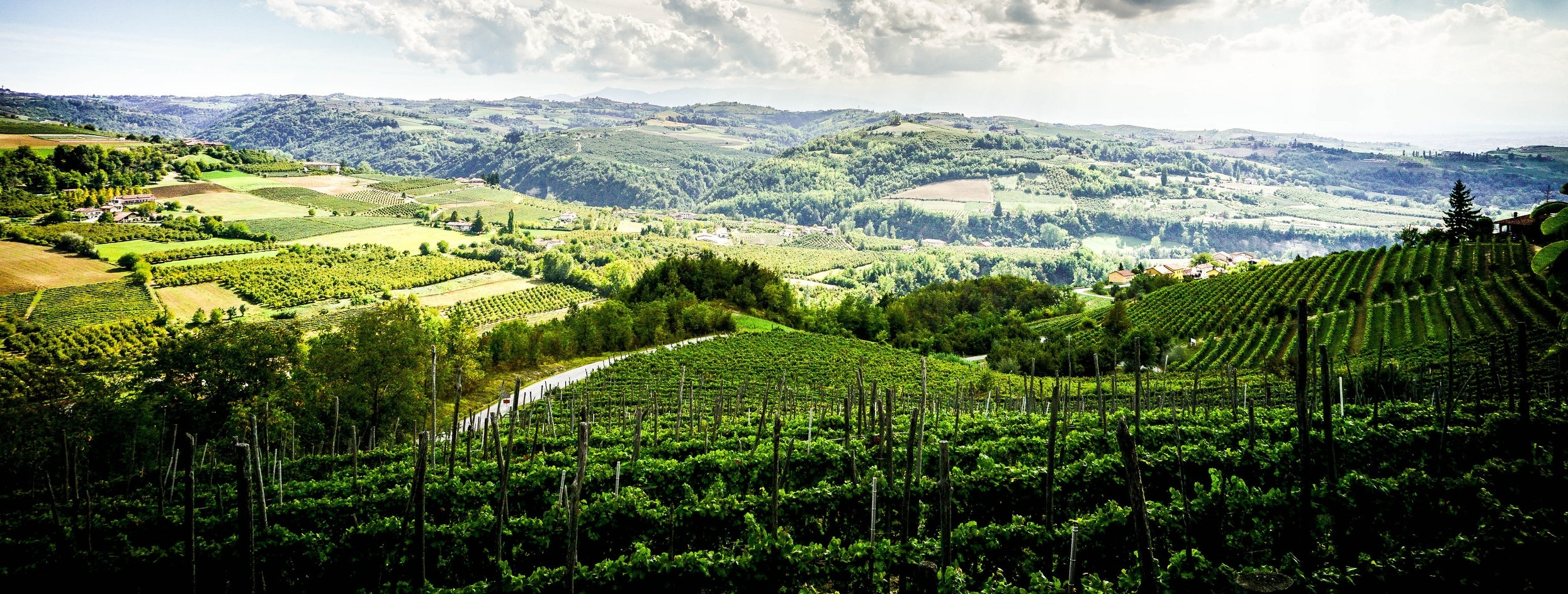 The San Fereolo Vineyards in Dogliani. (Photo by Joanie Bonfiglio)