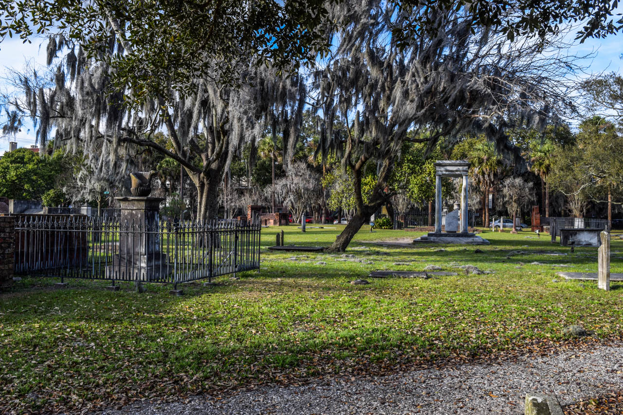 savannah10.jpg