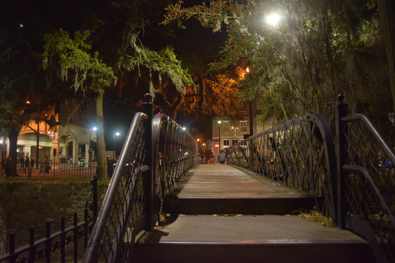 savannah18.jpg