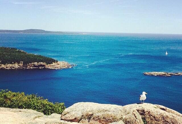 acadia4.jpg