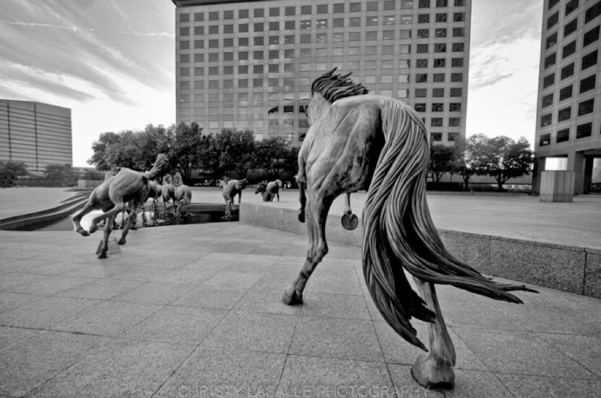 The Mustangs of Las Colinas by The Wonders of Back Roads via Trover.com