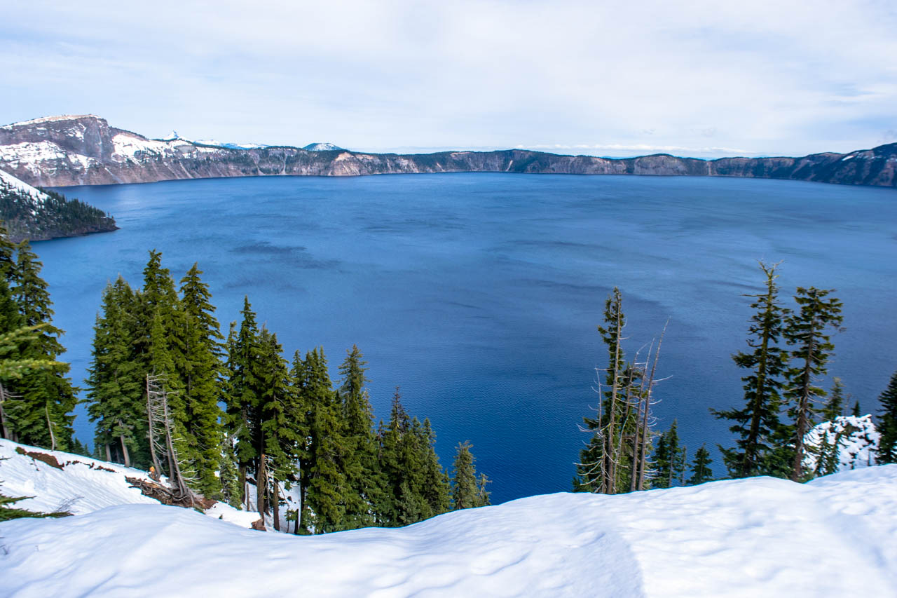 oregon8.jpg