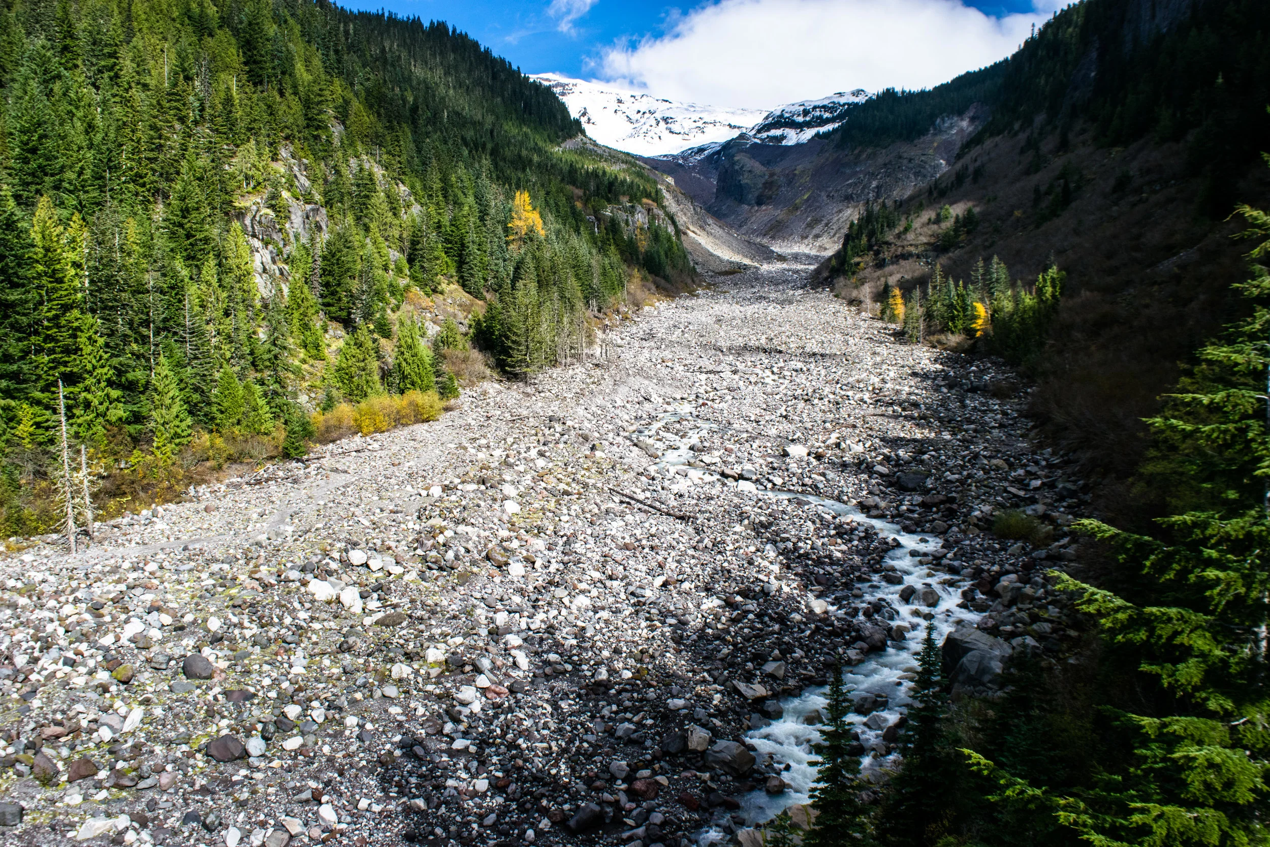 oregon47.jpg