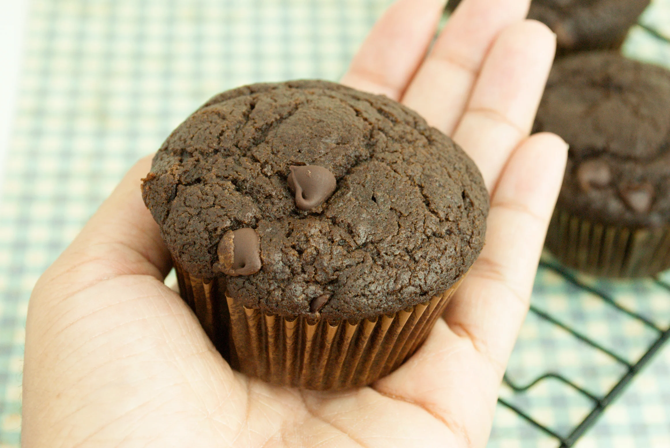 Vegan Chocolate Pumpkin Muffins