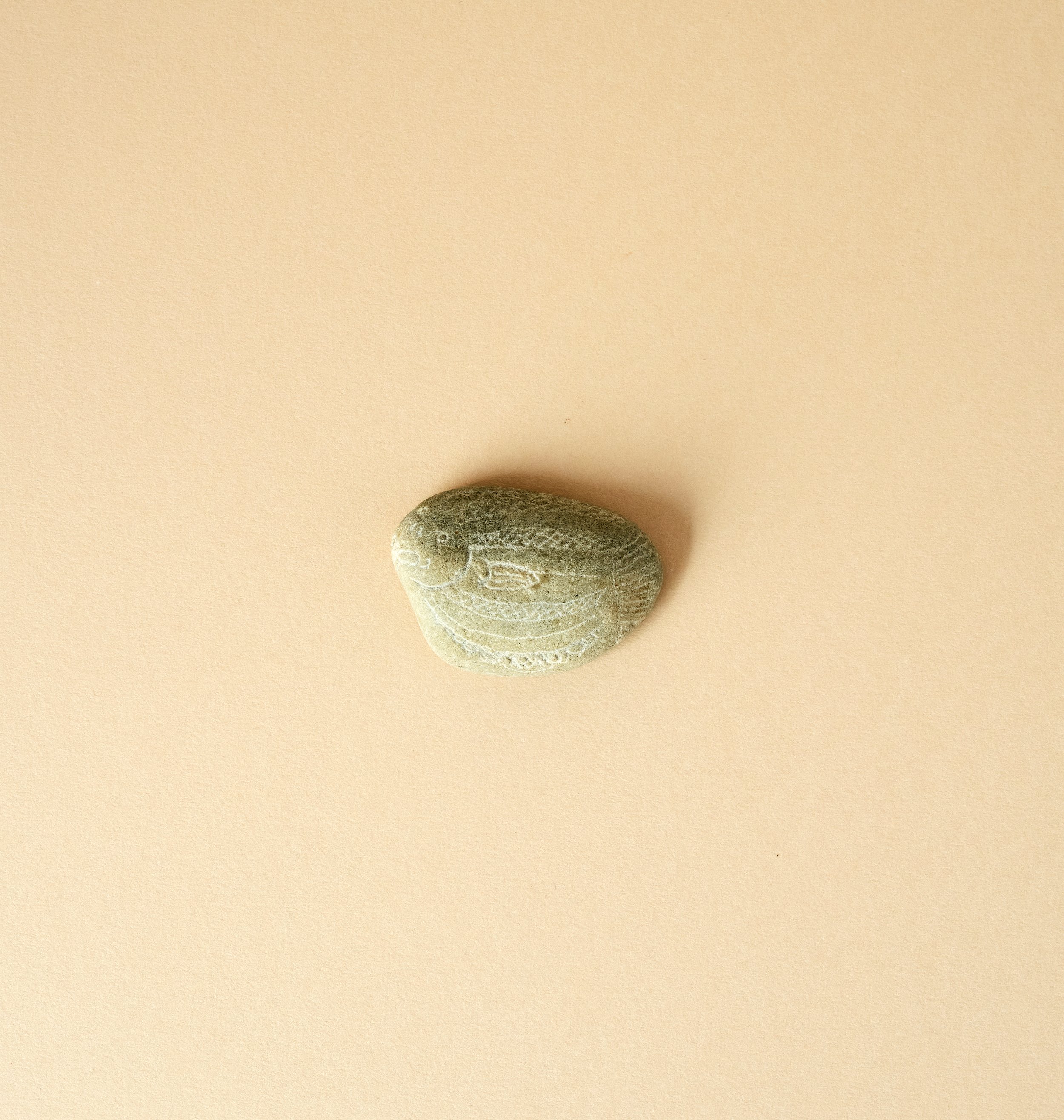 Fish Rock.jpg