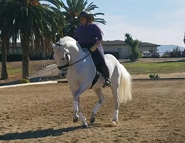 Suzie P 3.jpg
