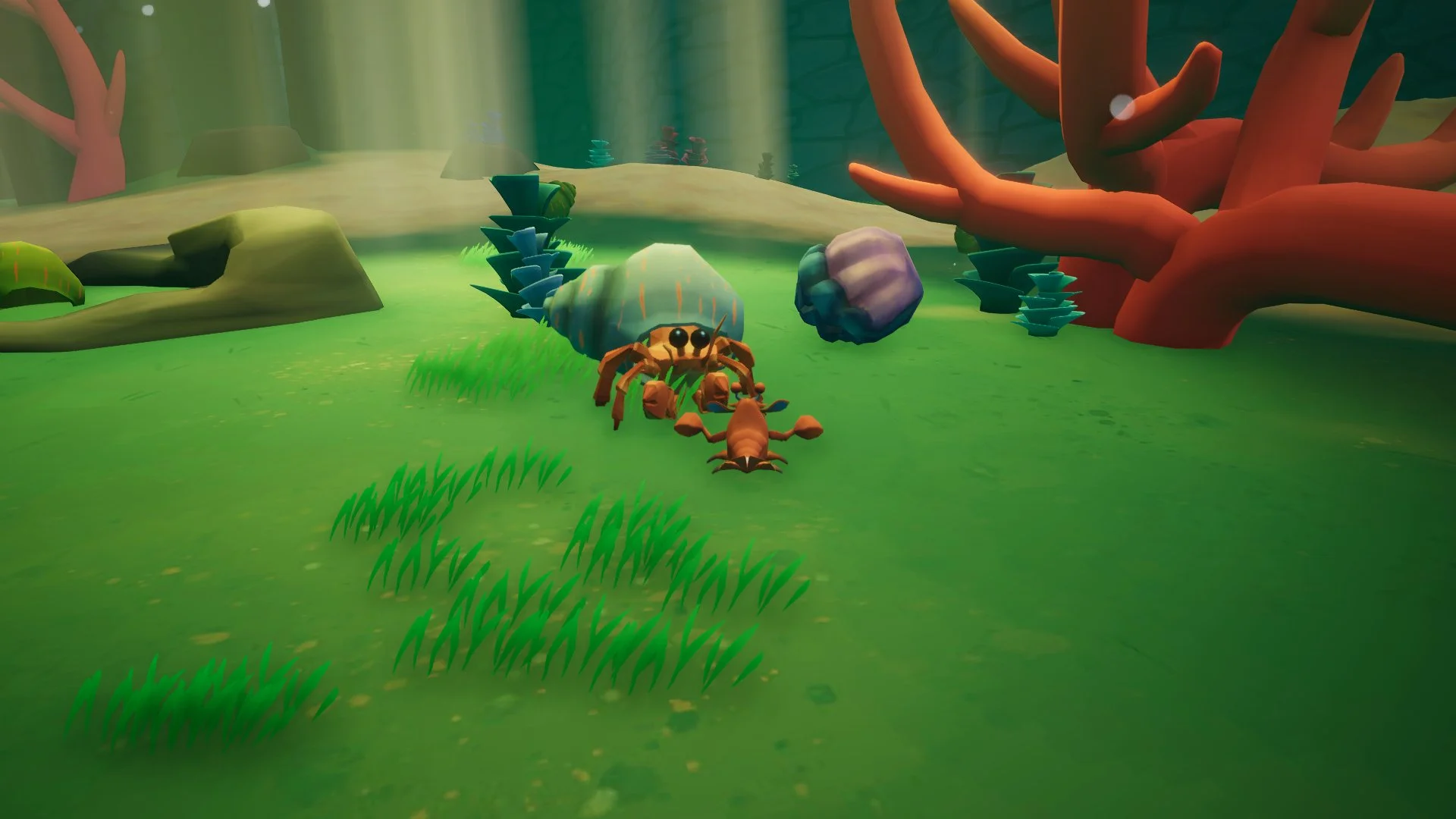 hermit crab.jpg