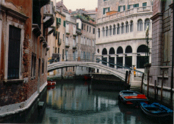 venicepic[1].gif