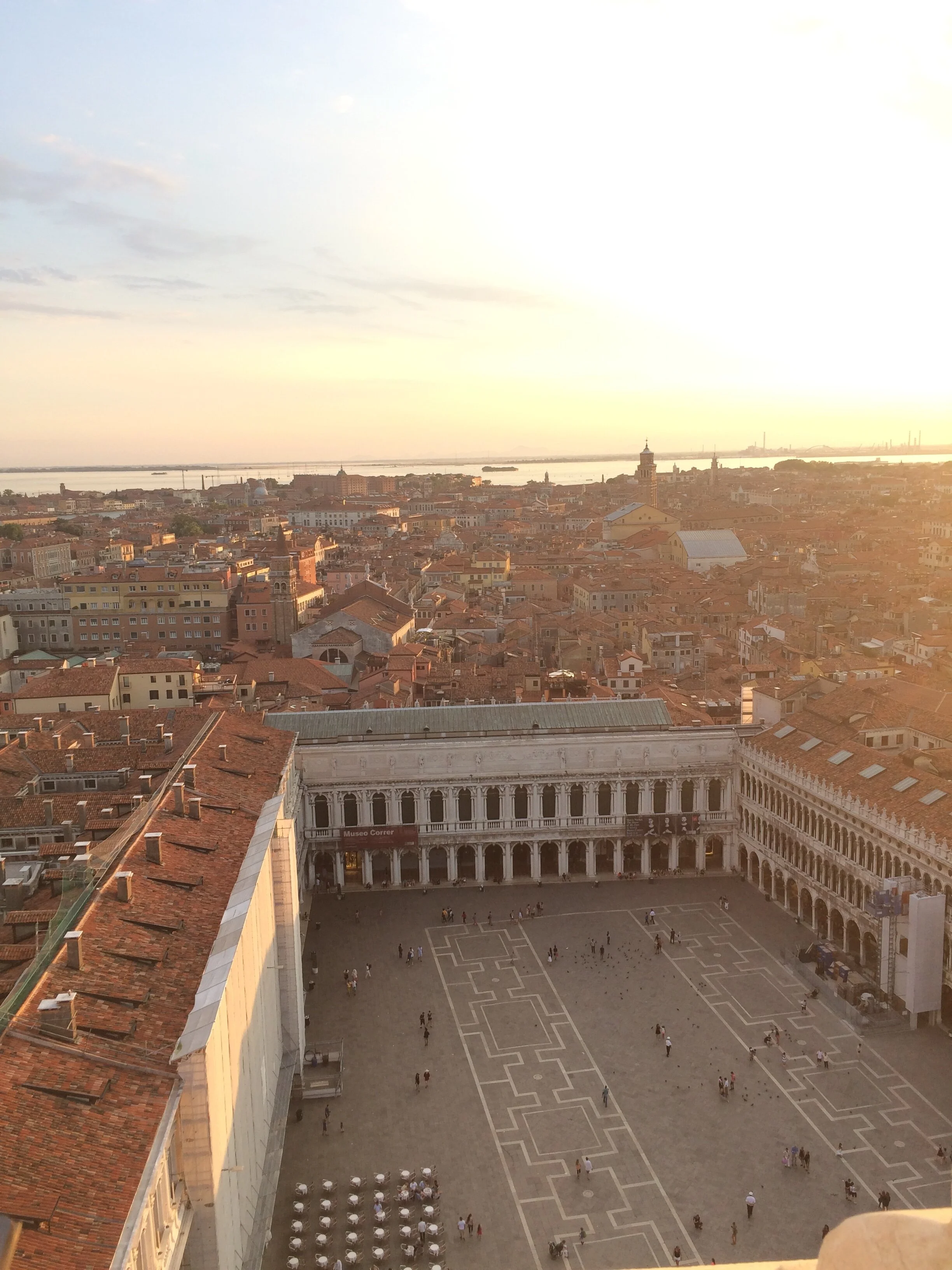 A Special Note from the Director: 35th Anniversary Year