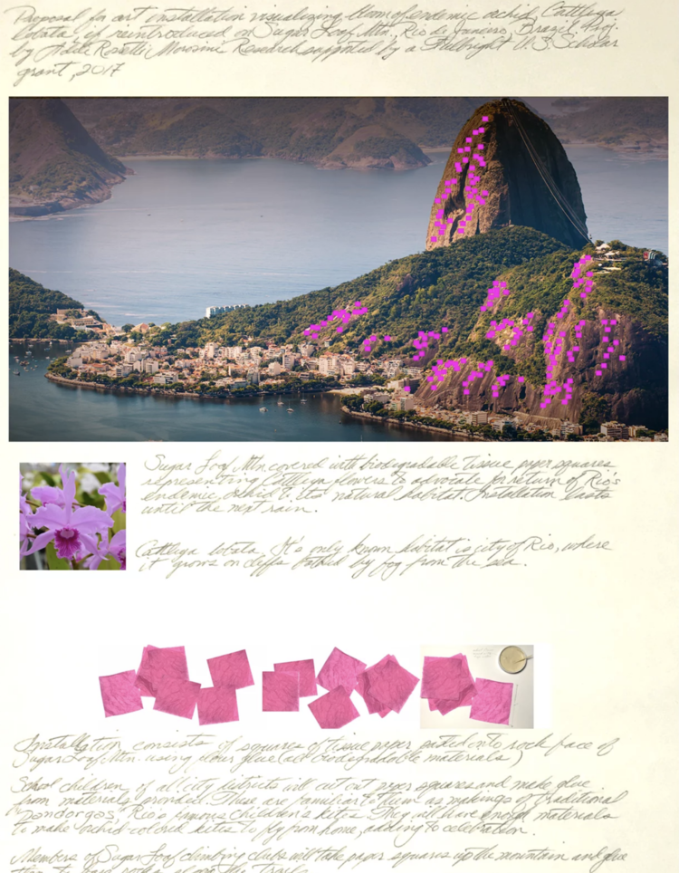 Fall Edition: Exhibitions & Projects by Alums and Faculty!