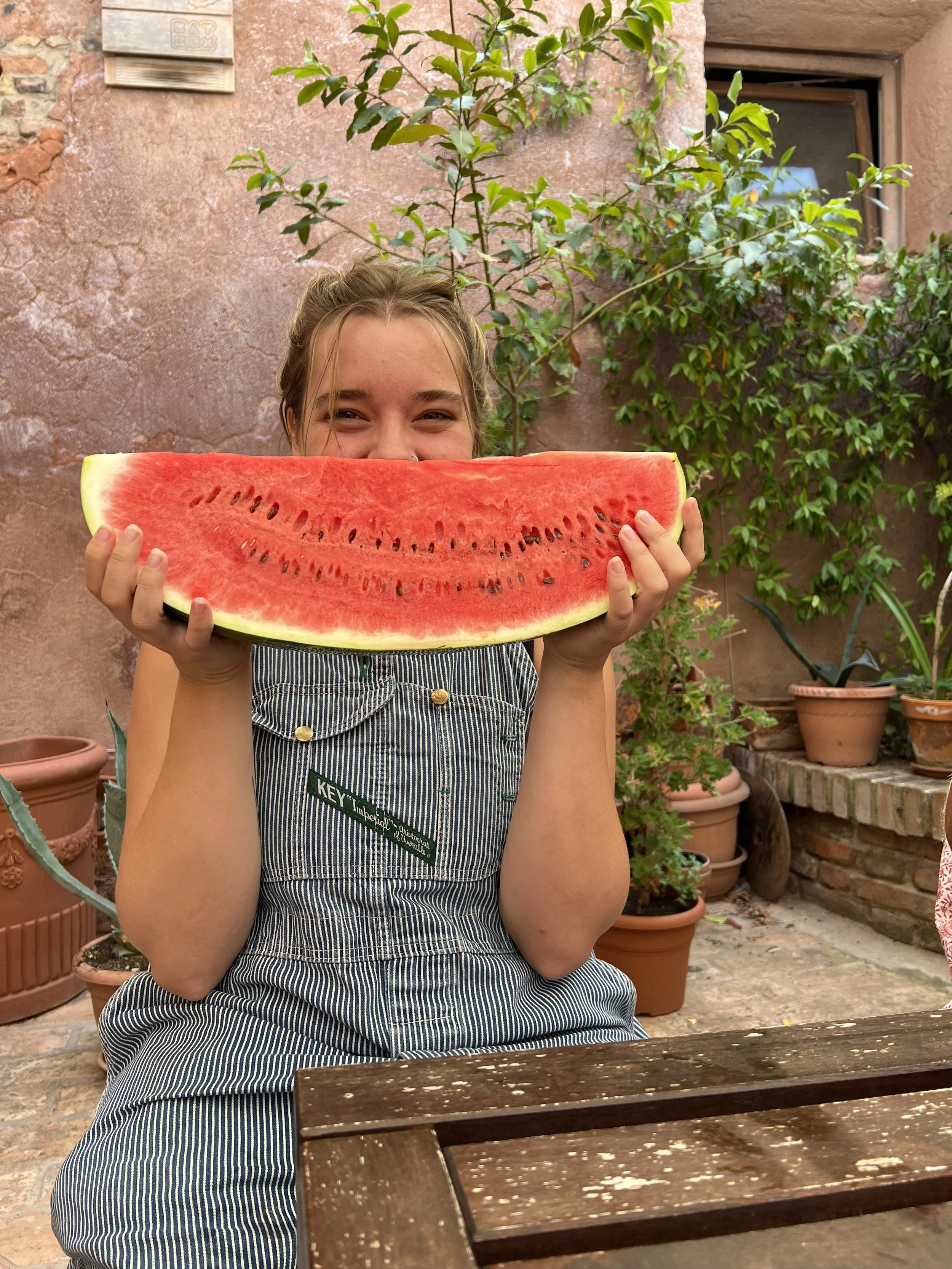 Undergraduate Experience, 2022