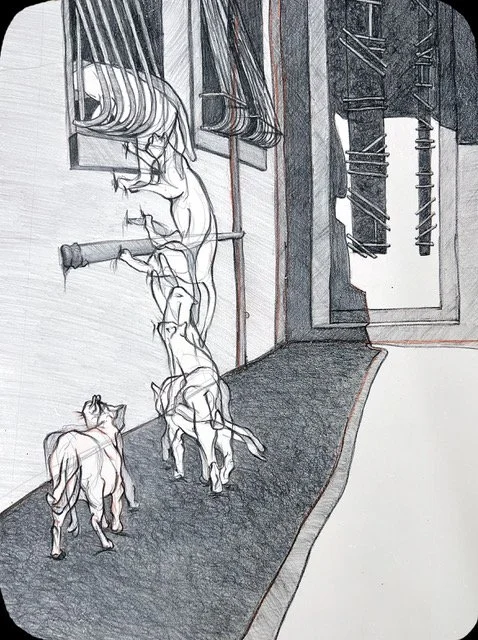 Danielle_Evasion (UNOFFICIAL).jpeg