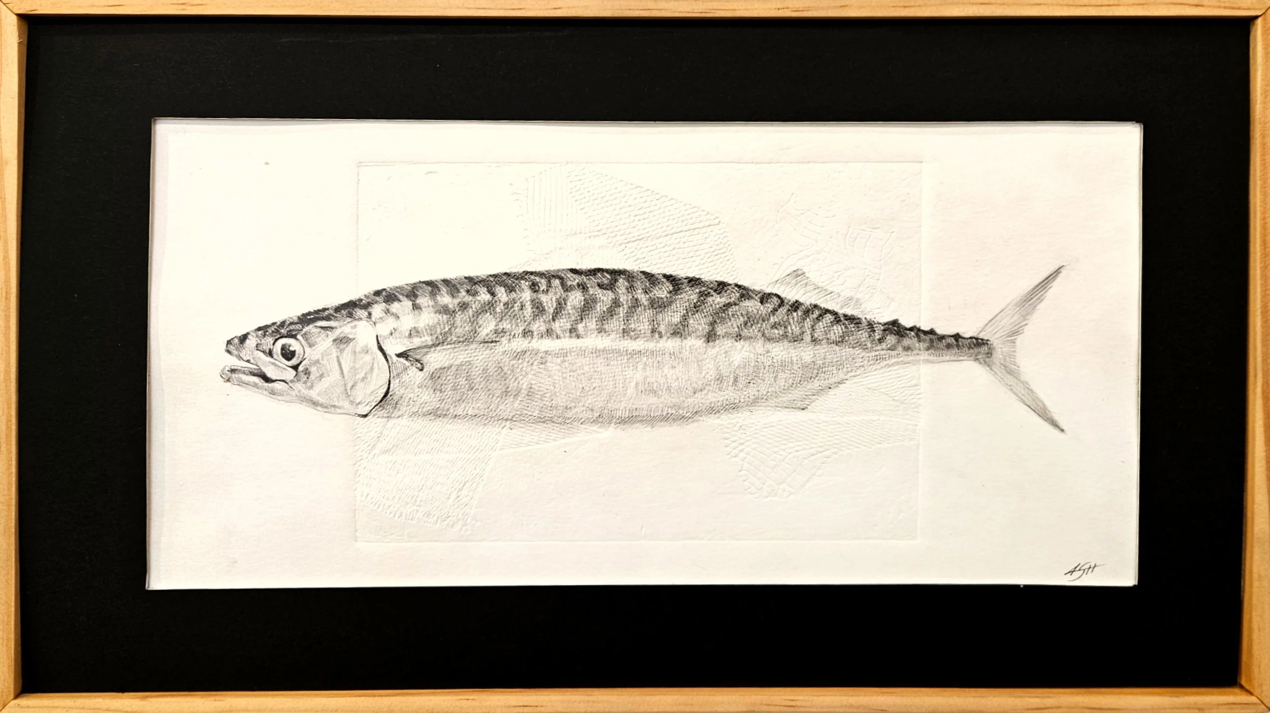 Caught by Ash Troche