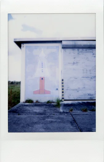 Copy of Artificial Color, Florida Everglades Series