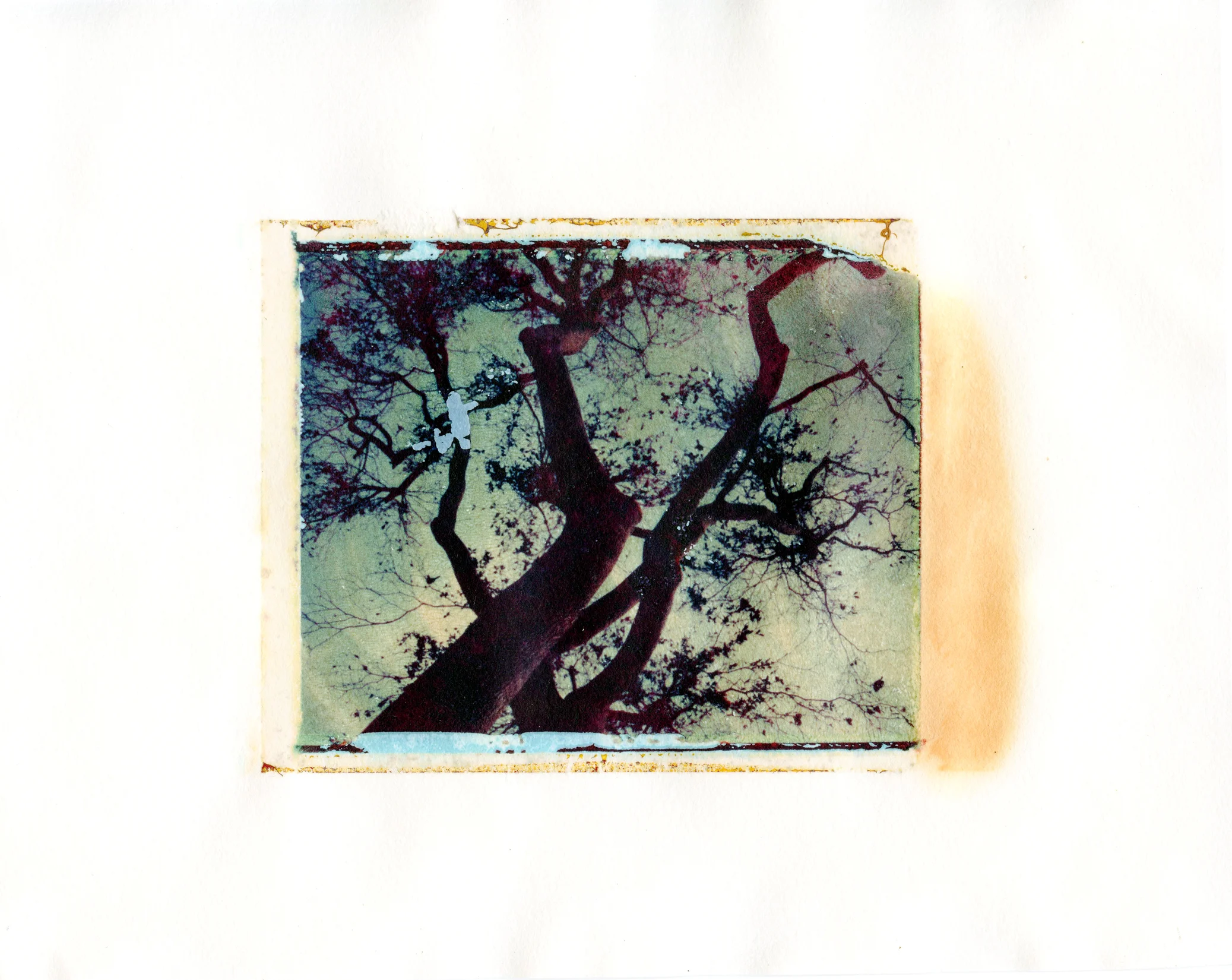 1470 Summit Run Circle , Polaroid Transfer on hot press watercolor paper, 6" x 7.5", 2011