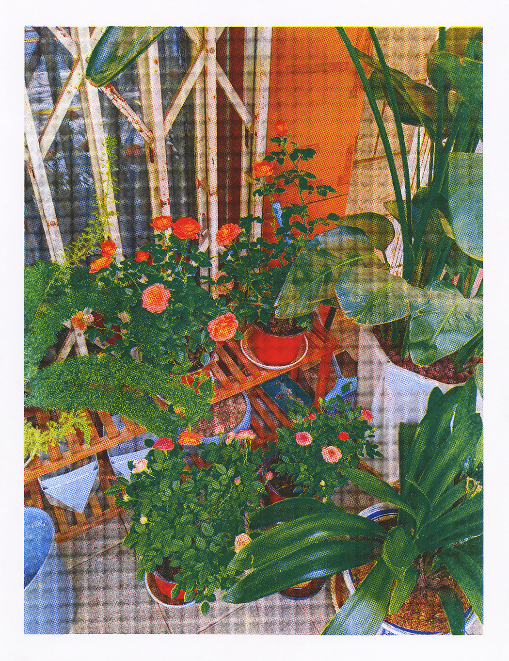denghua street plants 150.png