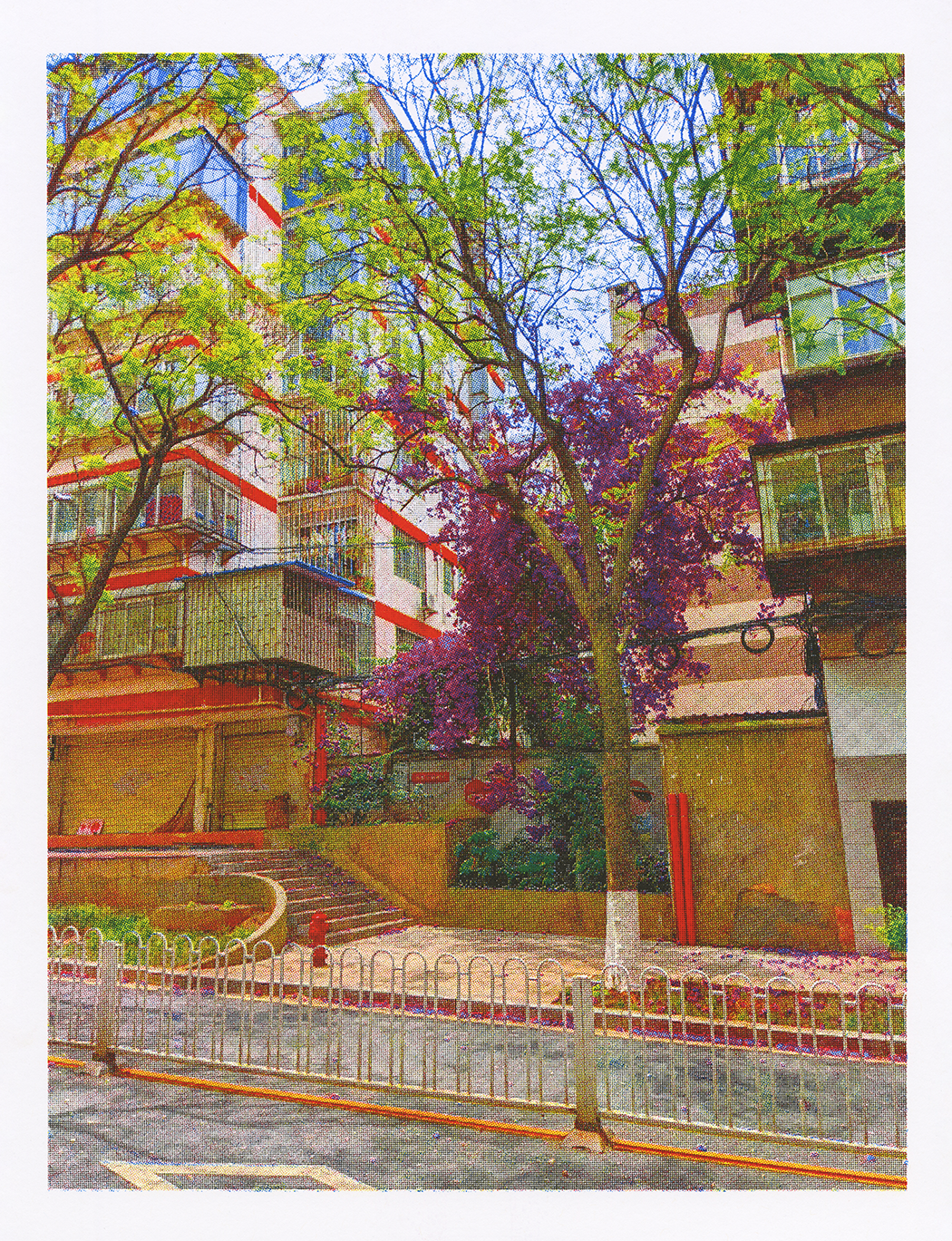 denghua street tree 150.png